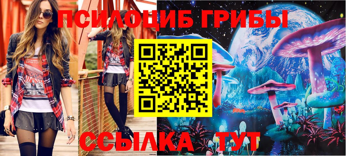 Галлюциногенные грибы MAGIC MUSHROOMS Отрадный