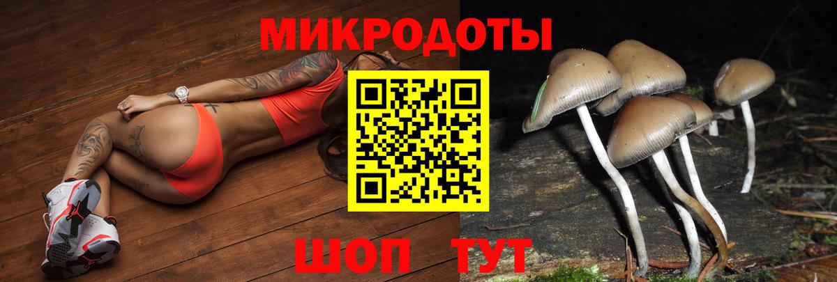 Галлюциногенные грибы GOLDEN TEACHER  Галлюциногенные грибы GOLDEN TEACHER  Вход с VPN  Отрадный 